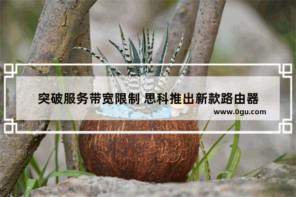 突破服务带宽限制 思科推出新款路由器