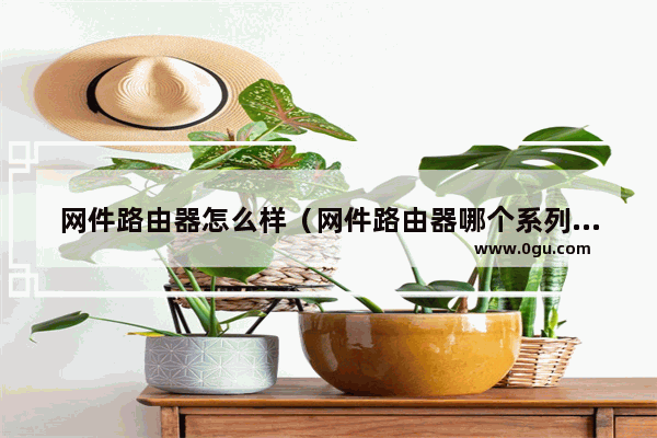 网件路由器怎么样（网件路由器哪个系列好）