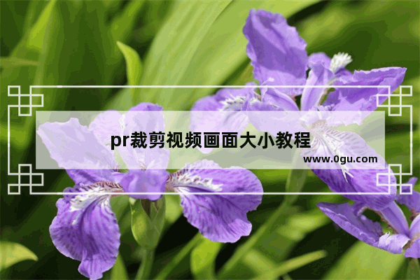 pr裁剪视频画面大小教程