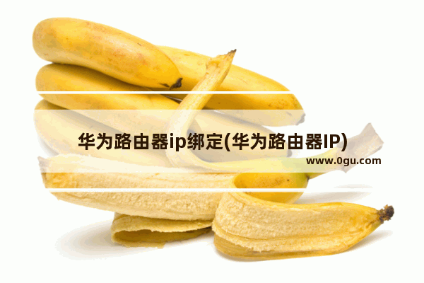 华为路由器ip绑定(华为路由器IP)