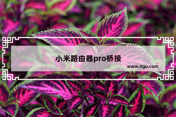 小米路由器pro桥接