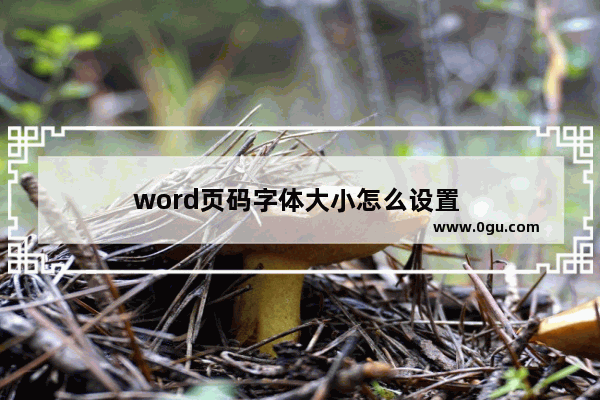 word页码字体大小怎么设置 