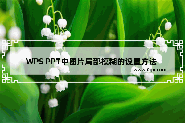 WPS PPT中图片局部模糊的设置方法 WPS PPT怎么设置图片局部模糊