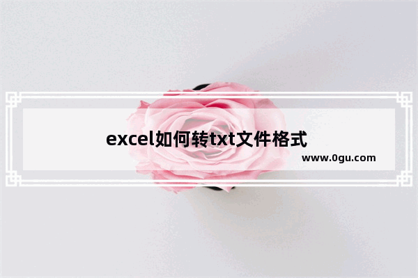 excel如何转txt文件格式 