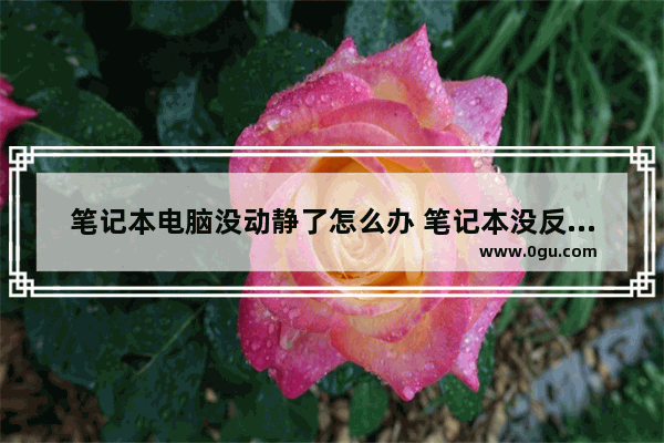 笔记本电脑没动静了怎么办 笔记本没反应了,一动不动