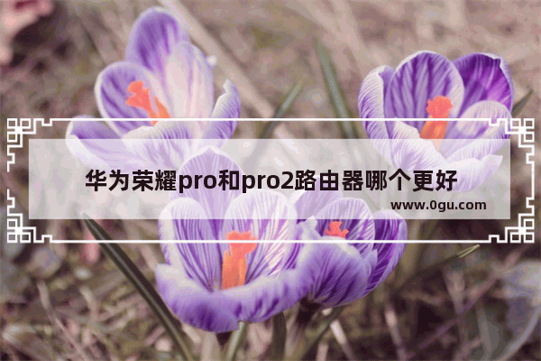 华为荣耀pro和pro2路由器哪个更好