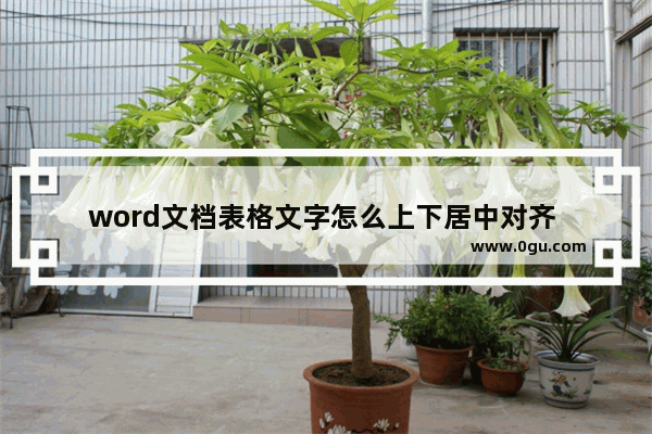 word文档表格文字怎么上下居中对齐 