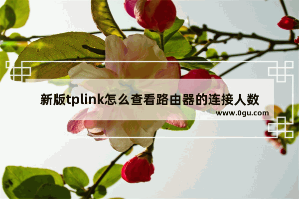 新版tplink怎么查看路由器的连接人数？