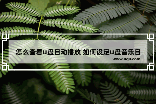 怎么查看u盘自动播放 如何设定u盘音乐自动播放顺序
