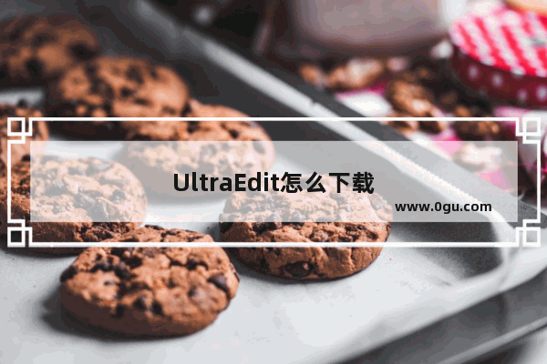 UltraEdit怎么下载