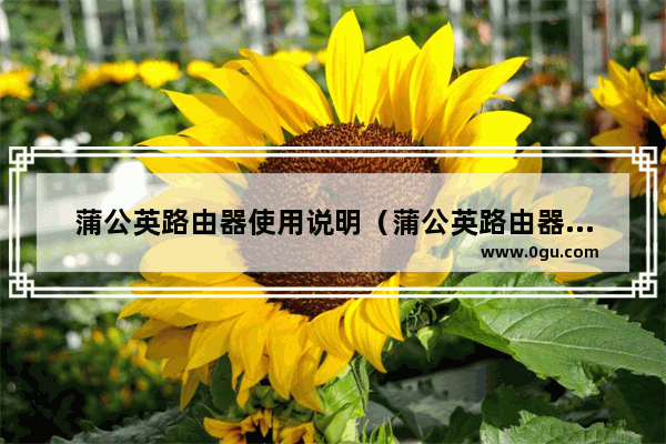 蒲公英路由器使用说明（蒲公英路由器管理）