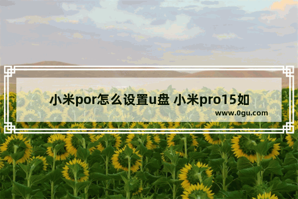 小米por怎么设置u盘 小米pro15如何设置u盘