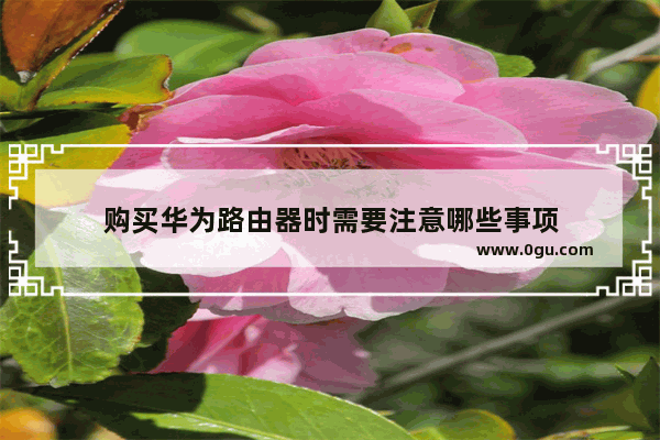 购买华为路由器时需要注意哪些事项