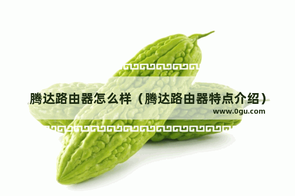 腾达路由器怎么样（腾达路由器特点介绍）