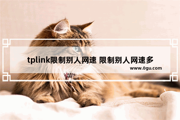 tplink限制别人网速 限制别人网速多少kb/s合适