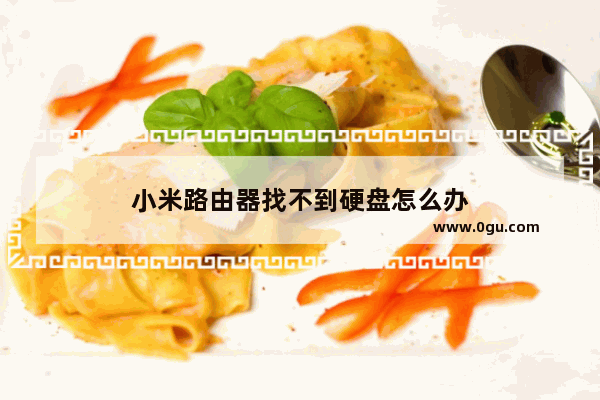 小米路由器找不到硬盘怎么办