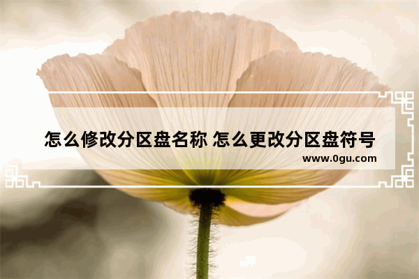 怎么修改分区盘名称 怎么更改分区盘符号