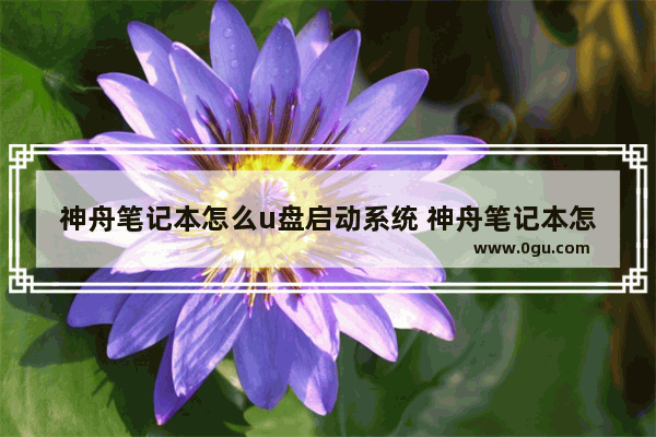 神舟笔记本怎么u盘启动系统 神舟笔记本怎么用u盘装系统