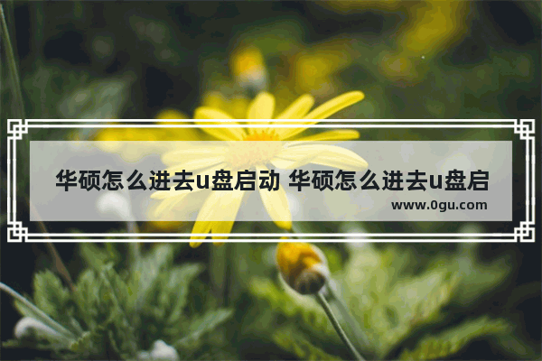 华硕怎么进去u盘启动 华硕怎么进去u盘启动选项