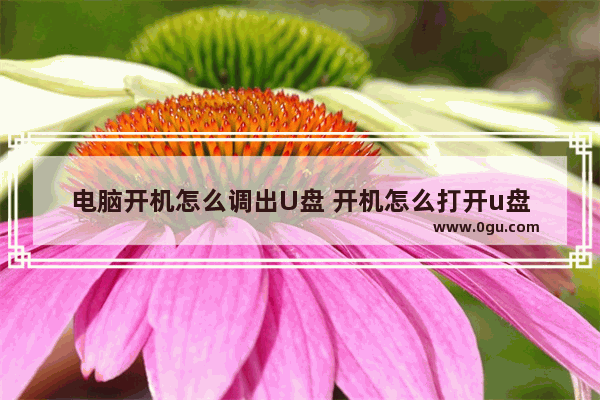 电脑开机怎么调出U盘 开机怎么打开u盘