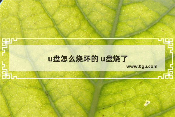 u盘怎么烧坏的 u盘烧了