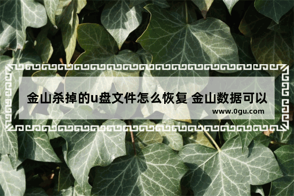 金山杀掉的u盘文件怎么恢复 金山数据可以修复u盘嘛