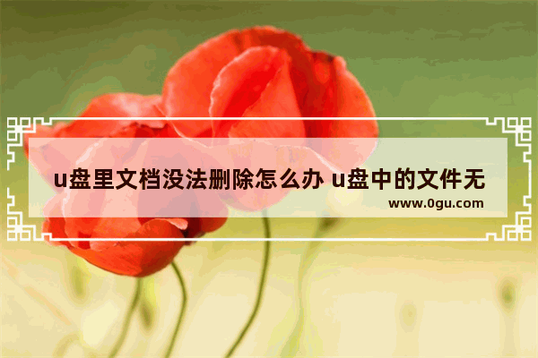 u盘里文档没法删除怎么办 u盘中的文件无法删除怎么办