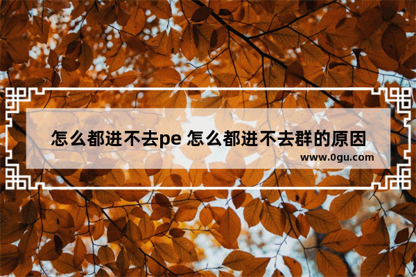 怎么都进不去pe 怎么都进不去群的原因