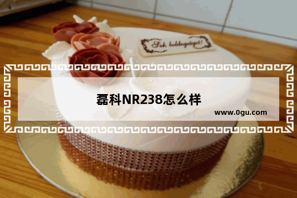磊科NR238怎么样