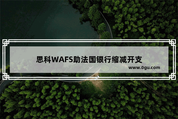 思科WAFS助法国银行缩减开支