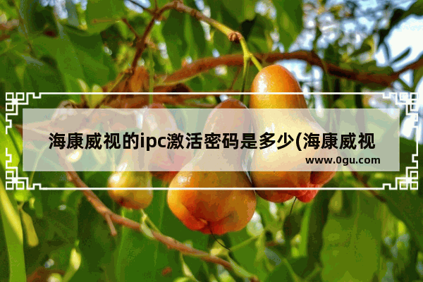 海康威视的ipc激活密码是多少(海康威视录像机的ipc激活码是什么)