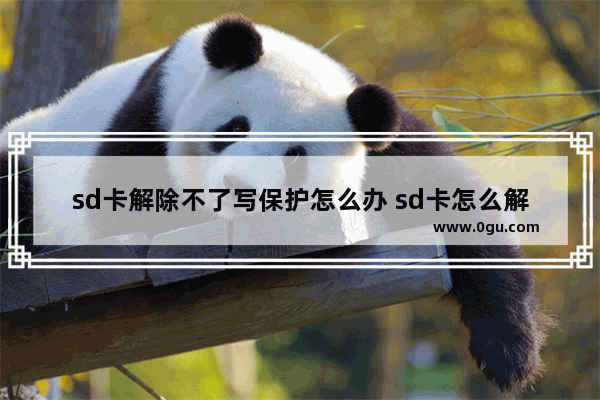 sd卡解除不了写保护怎么办 sd卡怎么解除读写保护