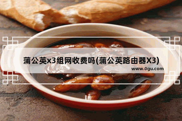 蒲公英x3组网收费吗(蒲公英路由器X3)
