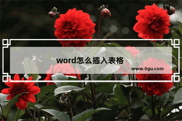 word怎么插入表格 