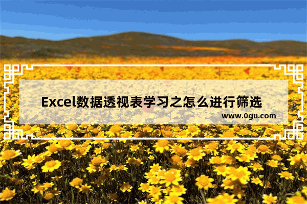 Excel数据透视表学习之怎么进行筛选 