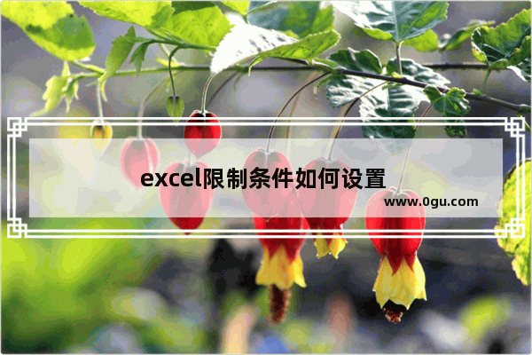excel限制条件如何设置 