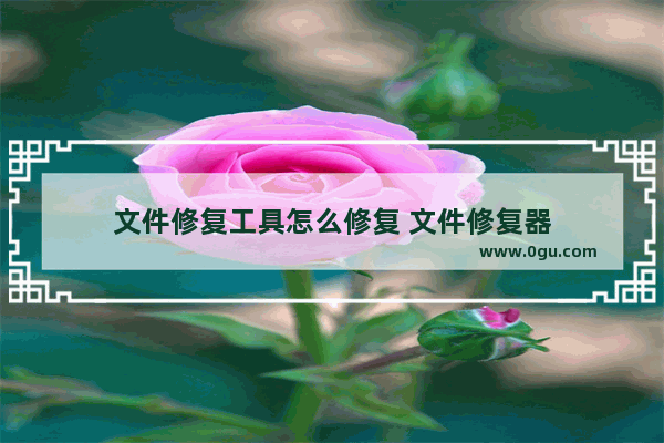 文件修复工具怎么修复 文件修复器