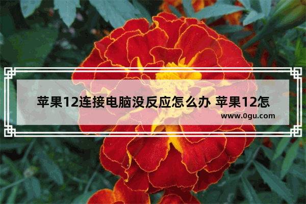苹果12连接电脑没反应怎么办 苹果12怎么连不上电脑