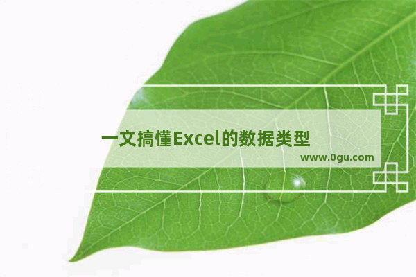 一文搞懂Excel的数据类型 