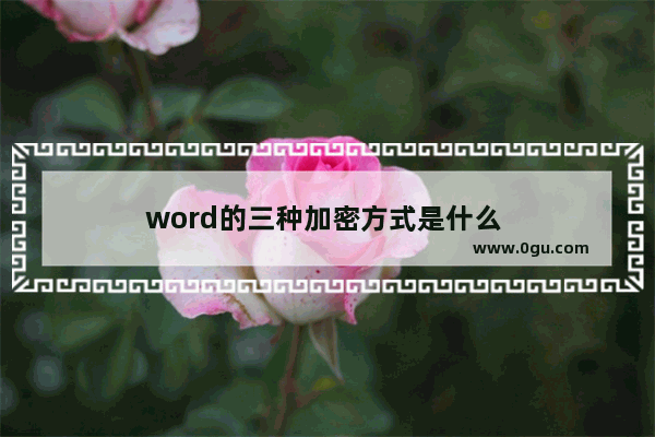 word的三种加密方式是什么 