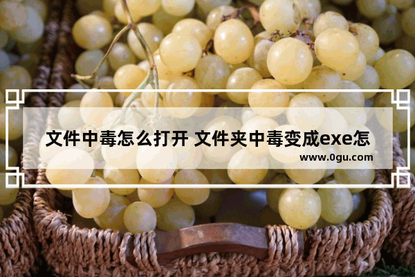 文件中毒怎么打开 文件夹中毒变成exe怎么解决