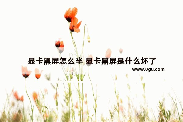 显卡黑屏怎么半 显卡黑屏是什么坏了