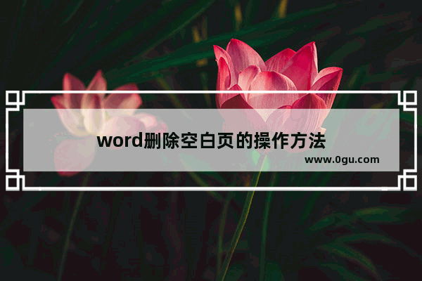 word删除空白页的操作方法