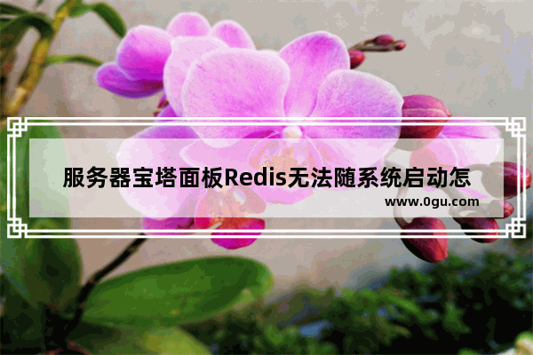 服务器宝塔面板Redis无法随系统启动怎么办呢 