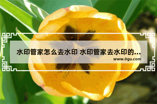 水印管家怎么去水印 水印管家去水印的方法
