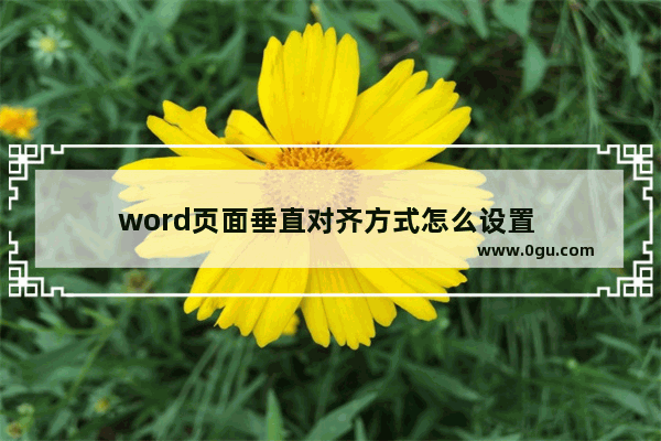 word页面垂直对齐方式怎么设置 