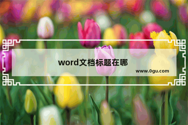 word文档标题在哪 