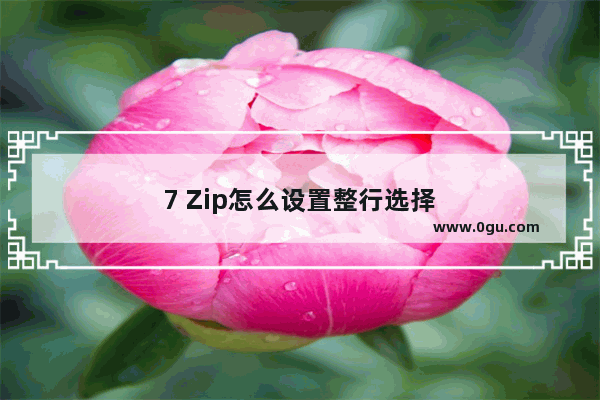 7 Zip怎么设置整行选择