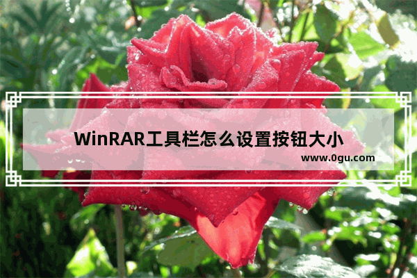 WinRAR工具栏怎么设置按钮大小