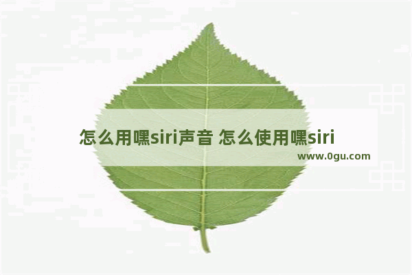 怎么用嘿siri声音 怎么使用嘿siri
